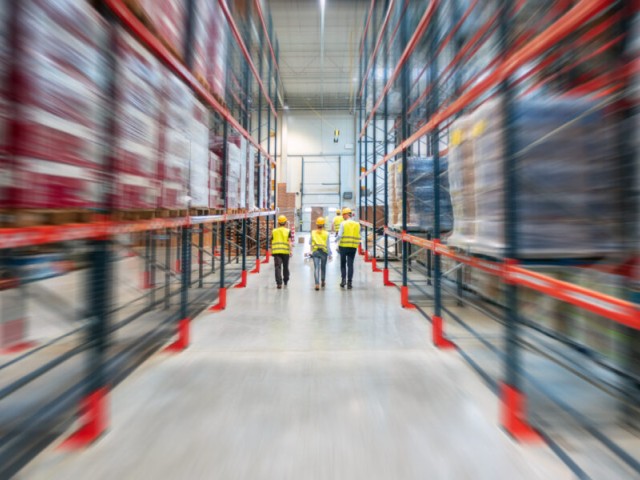 Gestionali: WMS, MES, TMS